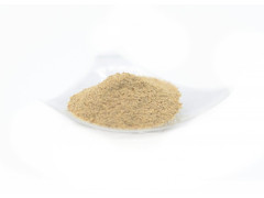 Korenie Biele 500g Progast