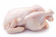 Kura 1,2kg kalib.HK +