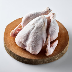 Kur�a 1,4kg kalib.HK +(Mrazen�)