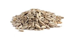 Slne�nica l�pan� 100g