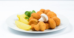 ampiny obaovan 1 kg