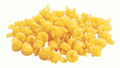 Turbnky 5kg Maggi Nestl