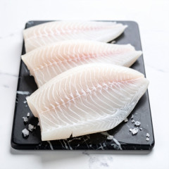 Ryby Pangasius filety 1kg 20% 170-220 FE